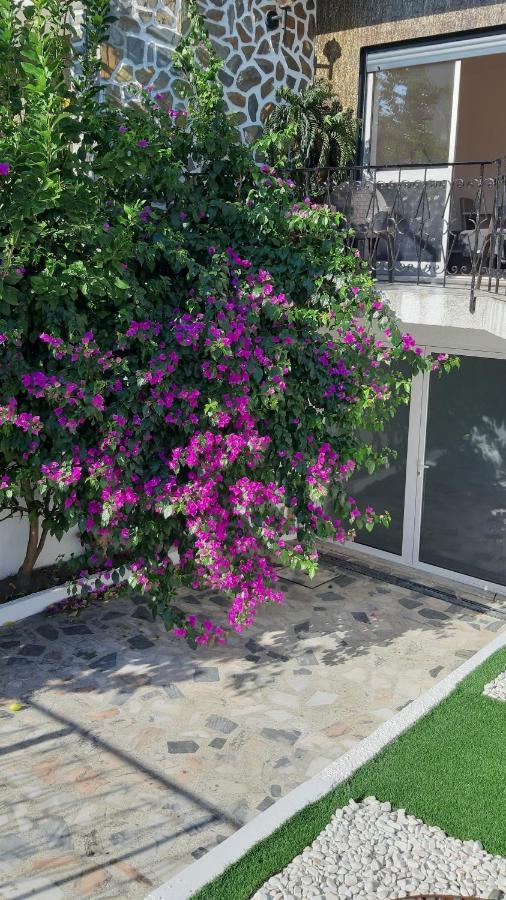 Colina Guesthouse - Braga Exterior photo