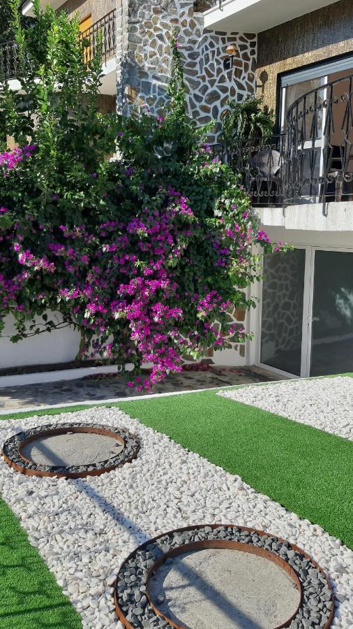 Colina Guesthouse - Braga Exterior photo
